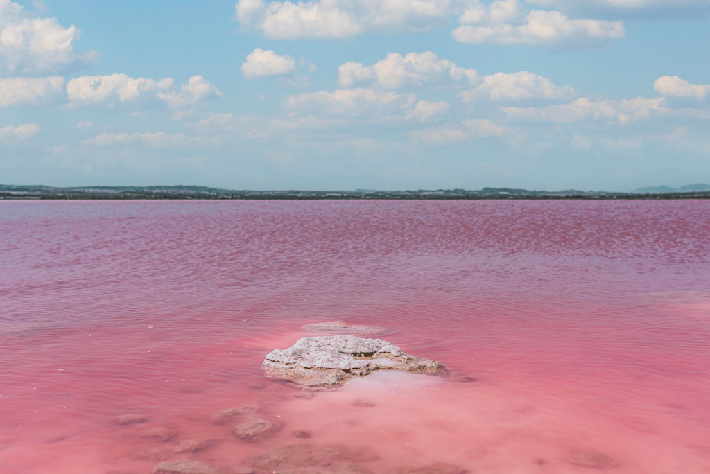 amazing-view-pink-sea (1).jpg amazing-view-pink-sea (1).jpg