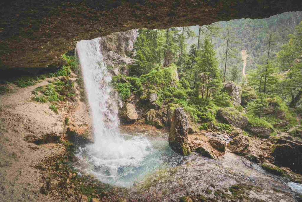 scenic-view-waterfall-forest (1).jpg scenic-view-waterfall-forest (1).jpg