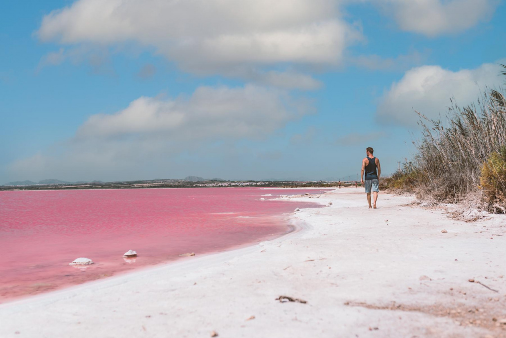 man-walking-along-beach-near-pink-sea (1).jpg man-walking-along-beach-near-pink-sea (1).jpg