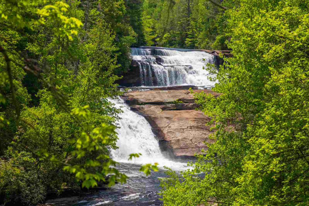 scenic-view-waterfall-amidst-trees-forest (1).jpg scenic-view-waterfall-amidst-trees-forest (1).jpg